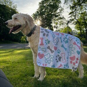 "Pawsitively Dry, Pawsitively Happy" Multi Use Pet Towels.
